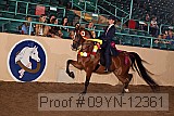 09yn-12361 proof
