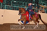 09yn-12362 proof