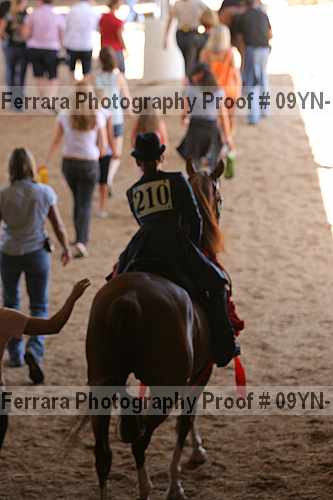 Proof 09yn-12364