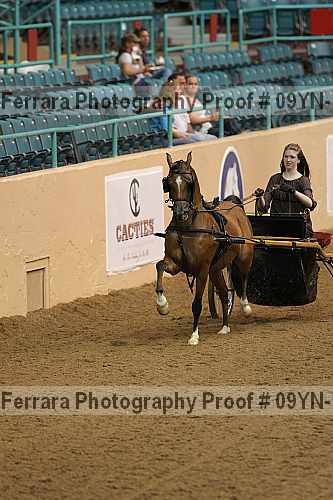 Proof 09yn-12942