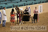 09yn-12944 proof