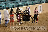 09yn-12945 proof