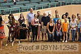 09yn-12946 proof