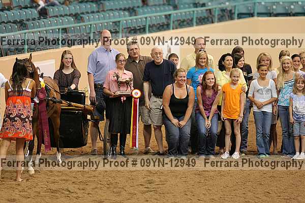 Proof 09yn-12949