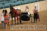 09yn-12950 proof