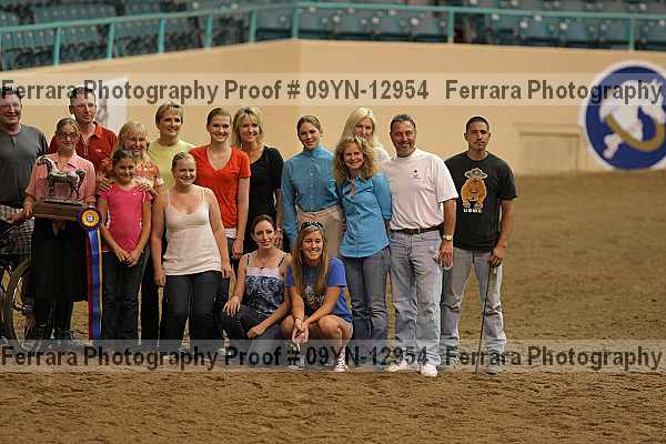 Proof 09yn-12954