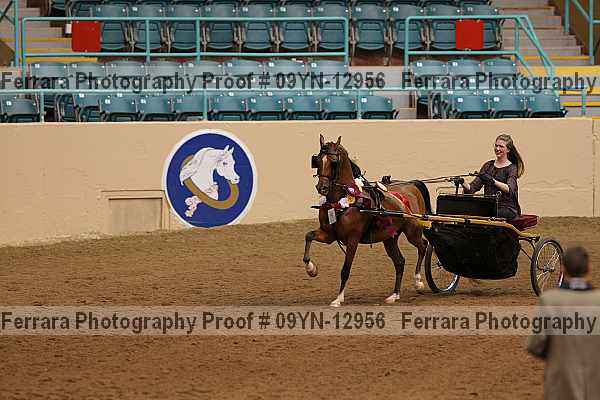 Proof 09yn-12956
