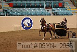 09yn-12956 proof