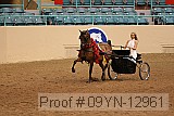 09yn-12961 proof