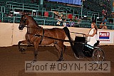 09yn-13242 proof