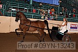 09yn-13243 proof