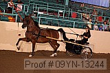 09yn-13244 proof