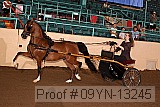 09yn-13245 proof