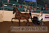 09yn-13246 proof