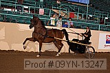 09yn-13247 proof