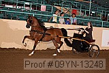 09yn-13248 proof