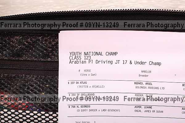 Proof 09yn-13249