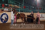 09yn-13250 proof