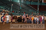 09yn-13251 proof