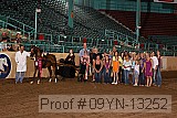 09yn-13252 proof