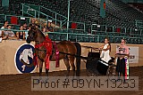 09yn-13253 proof