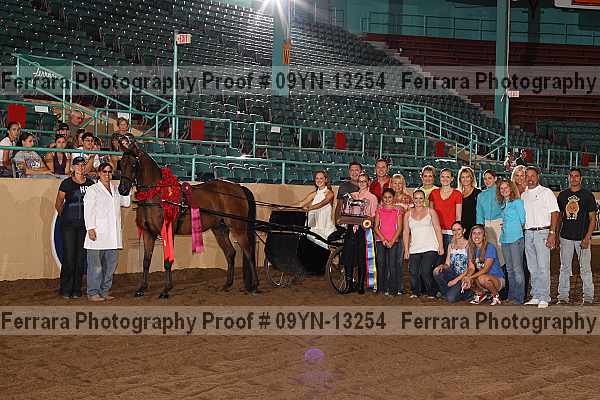 Proof 09yn-13254