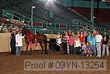 09yn-13254 proof