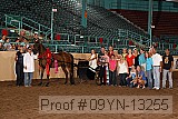 09yn-13255 proof