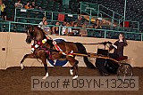 09yn-13256 proof