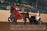 09yn-13257 proof