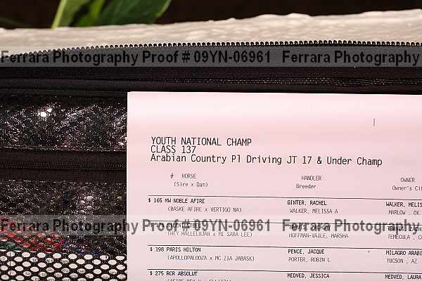 Proof 09yn-06961