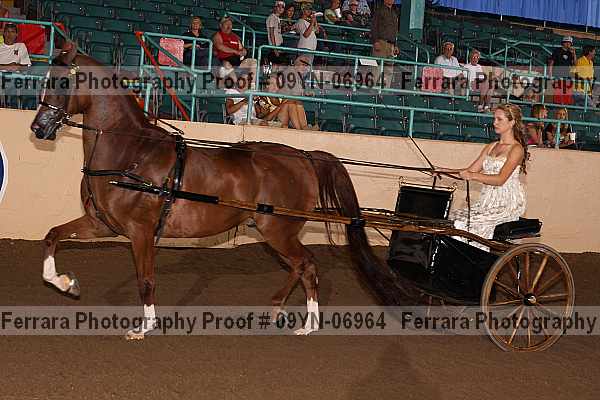 Proof 09yn-06964