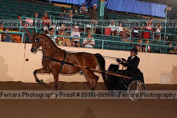 Proof 09yn-06968
