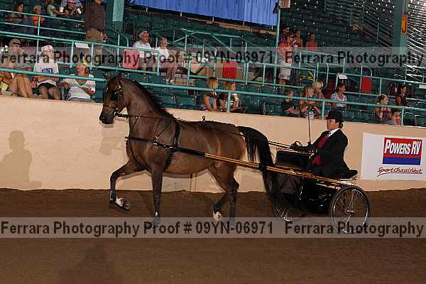 Proof 09yn-06971