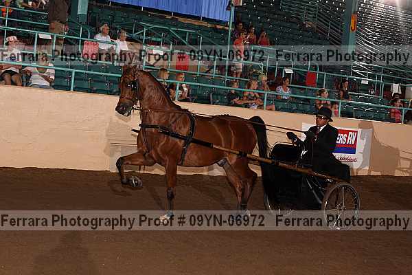Proof 09yn-06972