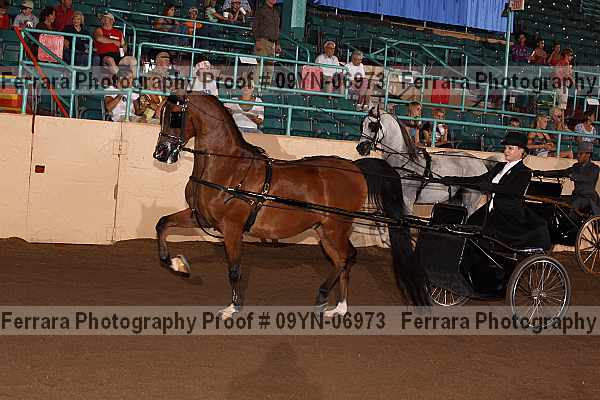 Proof 09yn-06973