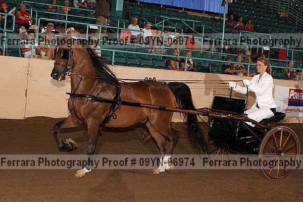 Proof 09yn-06974
