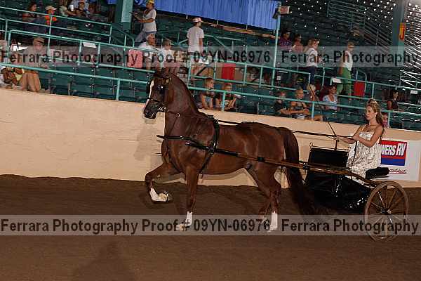Proof 09yn-06976