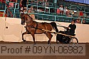 09yn-06982 proof
