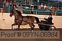 09yn-06984 proof