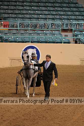Proof 09yn-06985