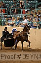 09yn-06988 proof