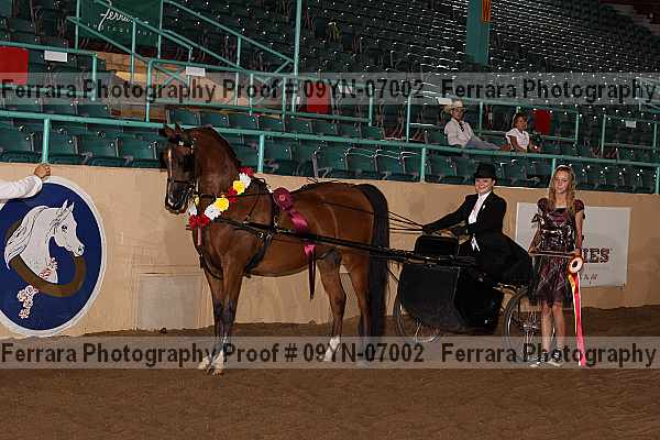 Proof 09yn-07002