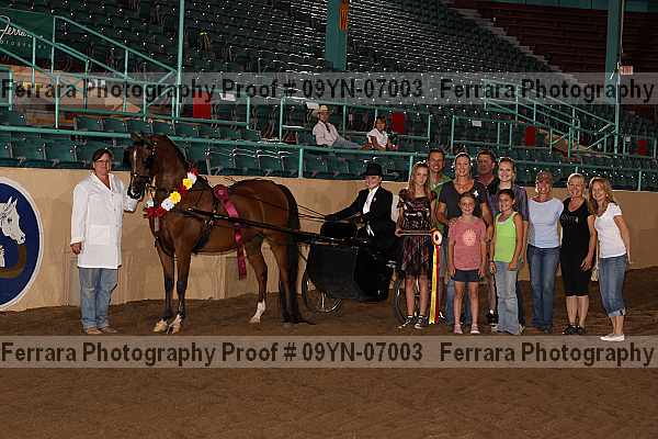 Proof 09yn-07003