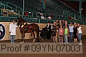 09yn-07003 proof