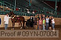 09yn-07004 proof