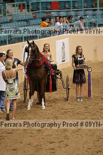 Proof 09yn-07005