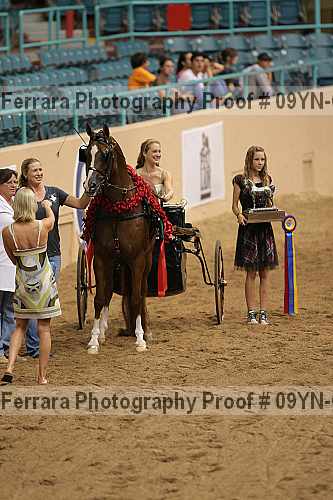 Proof 09yn-07006