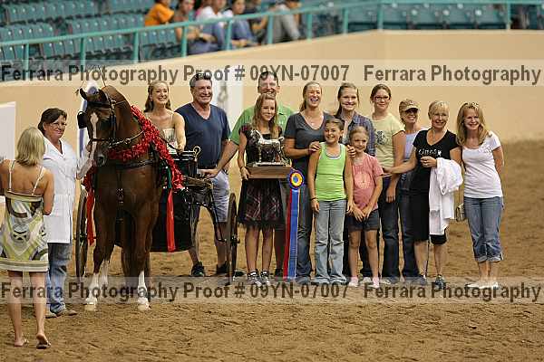 Proof 09yn-07007