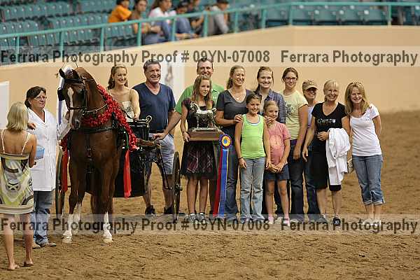 Proof 09yn-07008